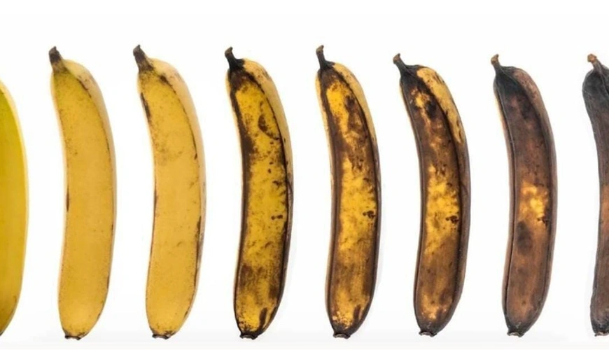 Qaralmış bananları uşaqlara vermək olmaz — tərkibində…