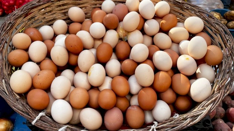 1 qəpiyə satılan yumurta indi 38 qəpik oldu?