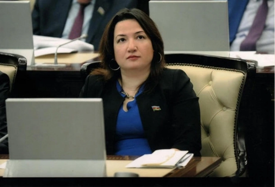 Deputatların Yeni il planları - Bayramı harda keçirəcəklər?