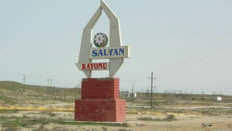 Salyanda milyonluq layihə bu şirkətə tapşırıldı