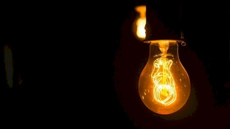 Alimlər gecələr işıq saçan bitkilər yetişdirdi -   Lampalar tarixə qovuşur?