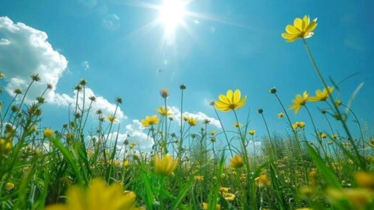 Azərbaycanda temperatur 40 dərəcəyə çatdı -   Hava proqnozu