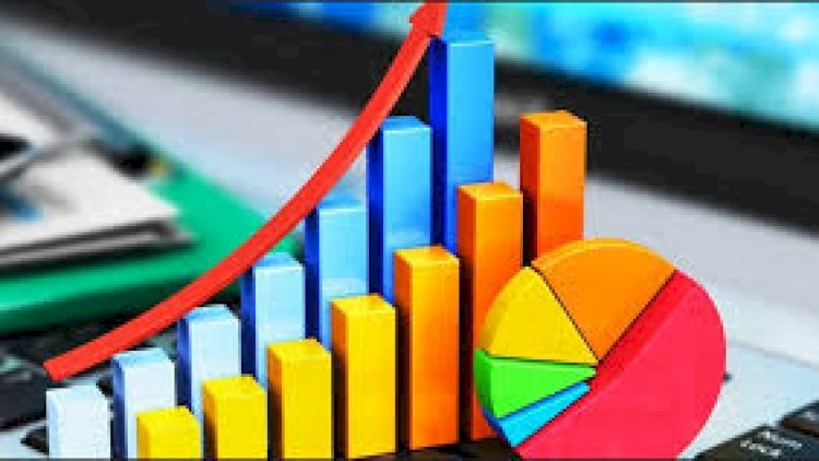 Qonşu ölkədə investisiya düşüşü