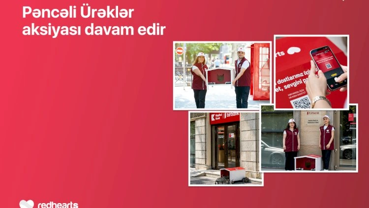 “Pəncəli Ürəklər” aksiyası çərçivəsində sahibsiz heyvanlar üçün yuvaların sayı 35-ə çatdı
