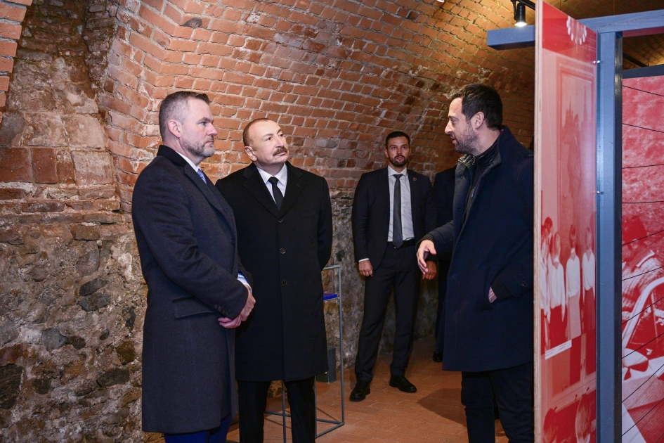 Azərbaycan və Slovakiya prezidentləri Bratislavada Devin qəsrində oldular - Fotolar
