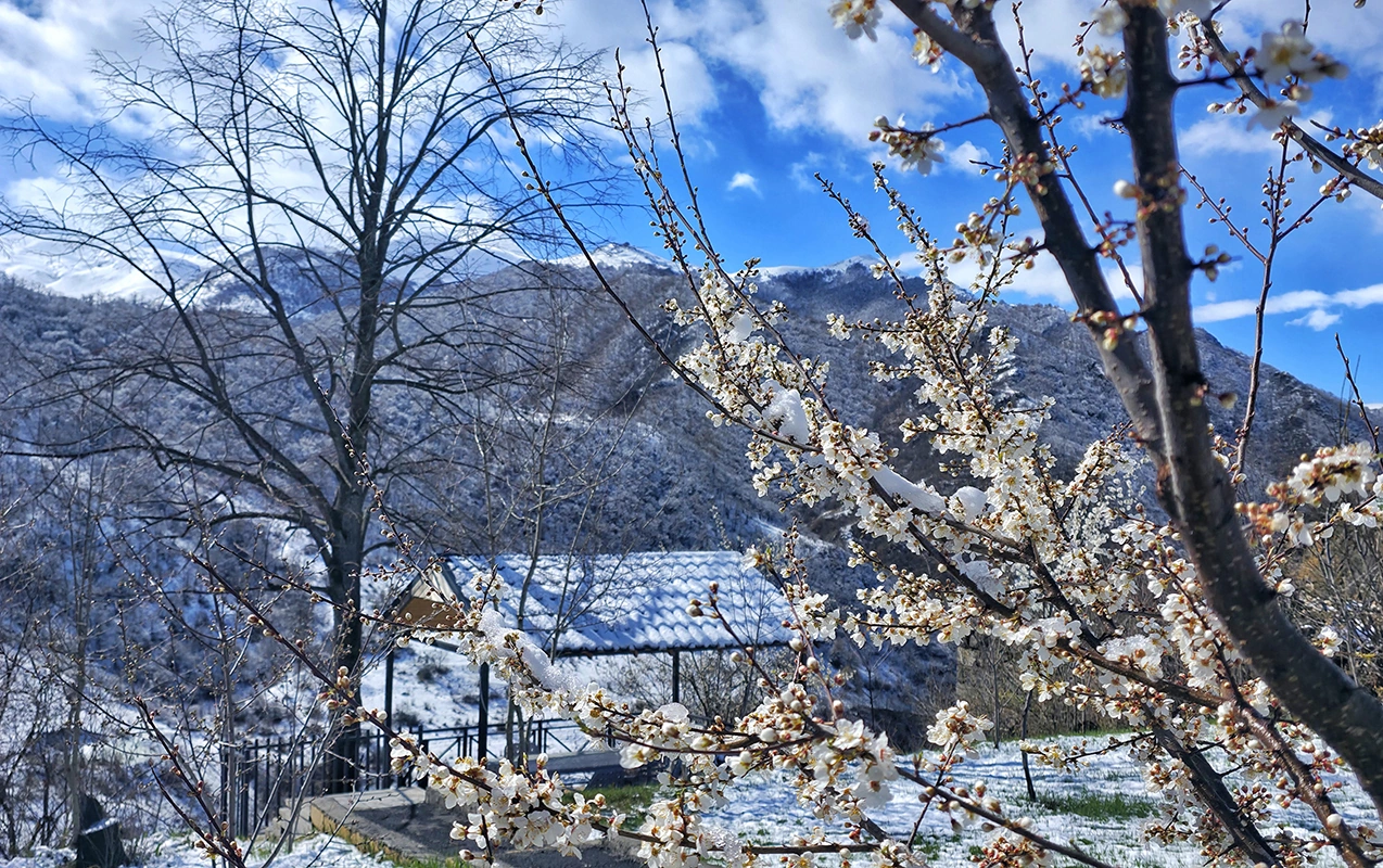 Bu ərazilərə qar yağıb
