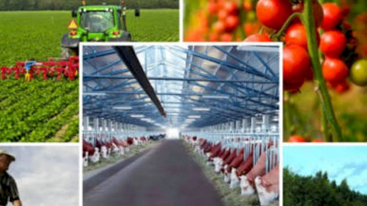 Qeyri-neft ixracı 2,8 milyard dolları keçdi