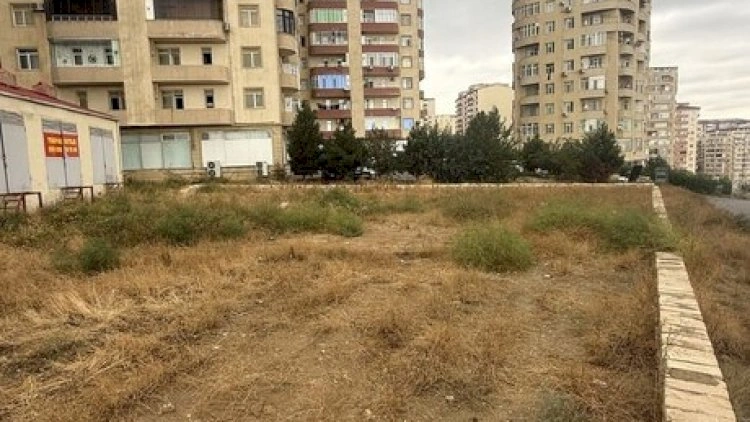 Yasamalda torpaq niyə bahadır? 700, 800 min...