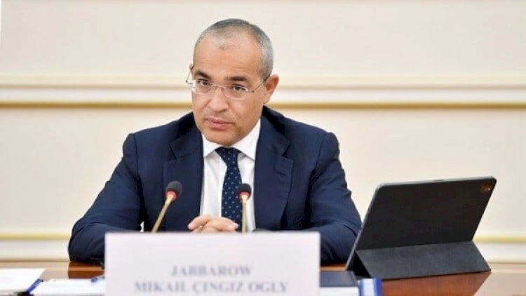 Mikayıl Cabbarova yeni vəzifə verildi -  SƏRƏNCAM