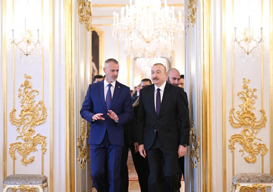 Prezidentin Rixard Raşi ilə təkbətək və geniş tərkibdə görüşləri olub - FOTO