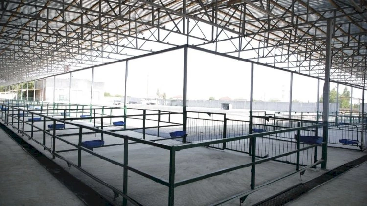 Bakıda yeni bazar fəaliyyətə başladı