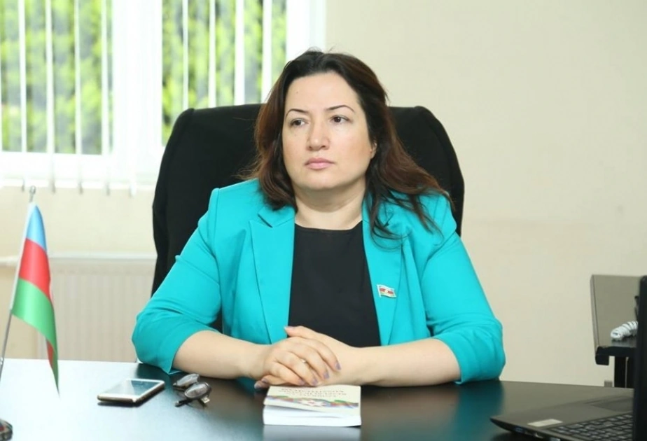 Azərbaycan təhdidlərə qarşı qətiyyətlə cavab vermək gücündədir - Deputat
