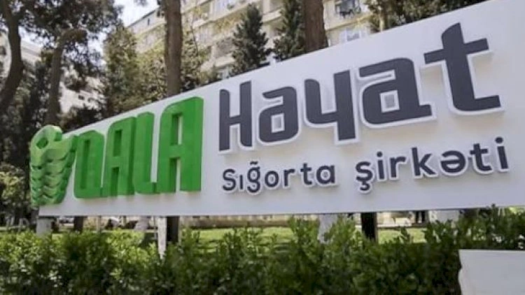 “Qala Həyat”ın sığorta haqları azalıb, ödənişləri kəskin artıb