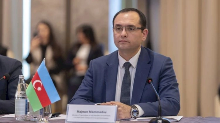 Məcnun Məmmədov şöbə müdiri təyin etdi - FOTO