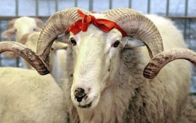 Qurban bayramına görə bu işçilərə əlavə pul veriləcək?