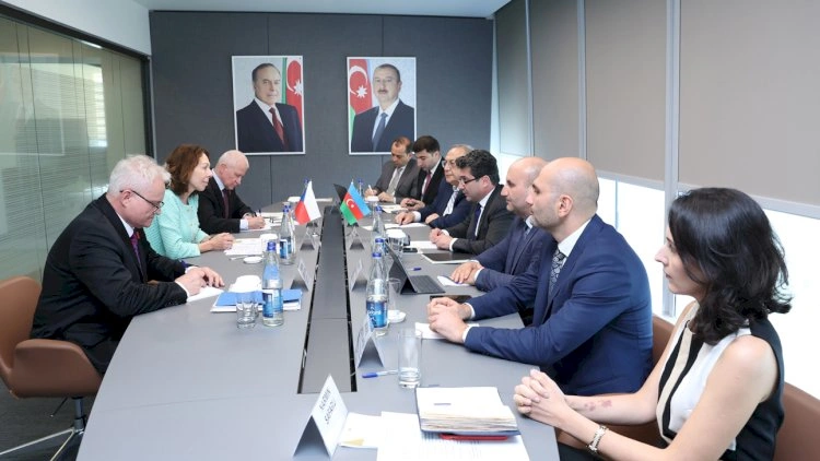 Azərbaycan və Çexiya iqtisadi əlaqələri genişləndirir