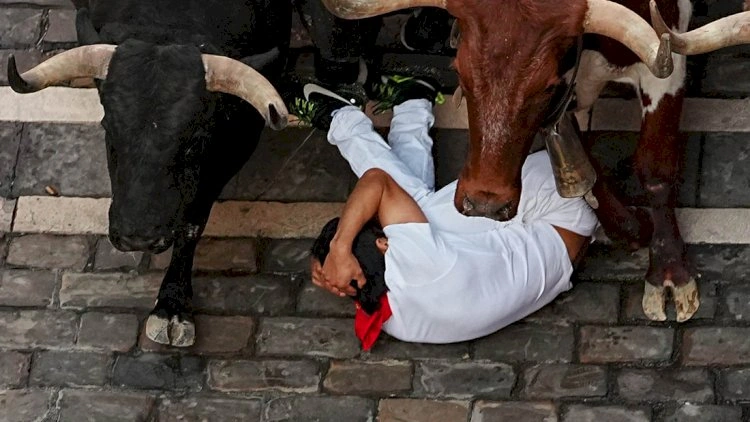 San Fermin festivalında öküzlərlə qaçış -   FOTOLAR