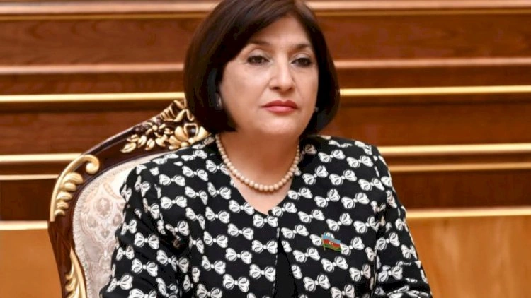 Sahibə Qafarova hesabat verdi