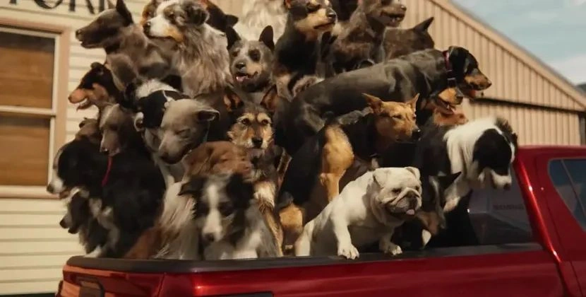 “Toyota”nın reklamı gözlənilməz səbəbdən qadağan edildi