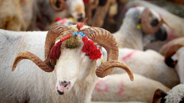 Sürmə çəkib, xına ilə bəzəmə: Qurban bayramı ADƏTLƏRİ