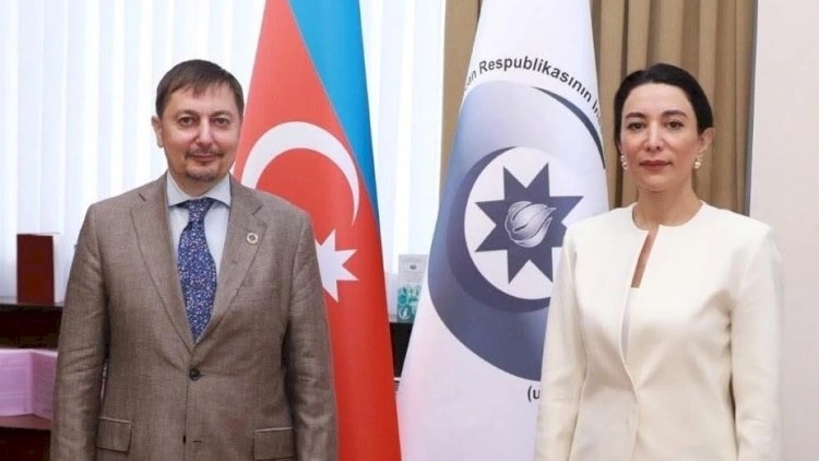 Ombudsman BMT-nin Azərbaycandakı yeni rezident əlaqələndiricisi ilə görüşdü