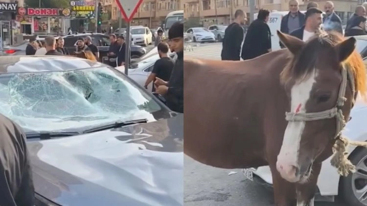Bakıda minik avtomobili atla toqquşdu