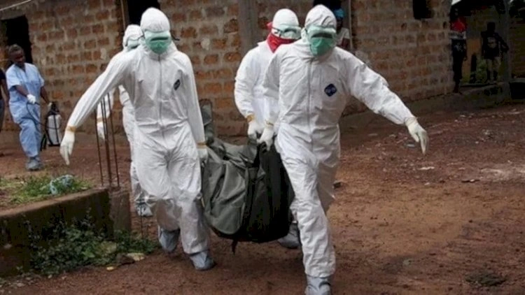 Bu ölkədə təhlükəli virus yenidən yayılır - Minlərlə insan həyatını itirdi