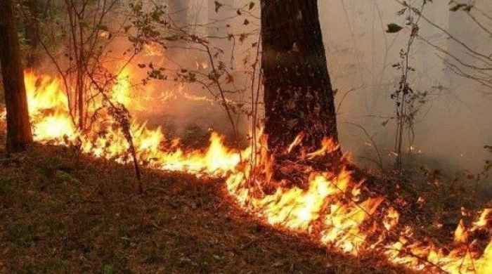 Cəbrayılda açıq ərazidə yanğın baş verib