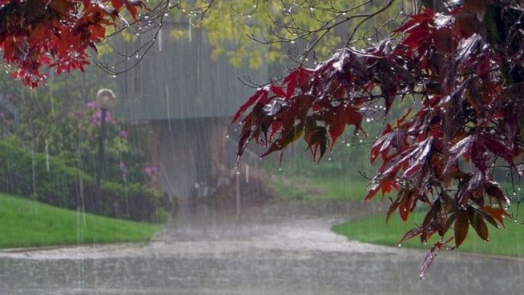 Yağışlı hava şəraiti davam edəcək - Hava proqnozu