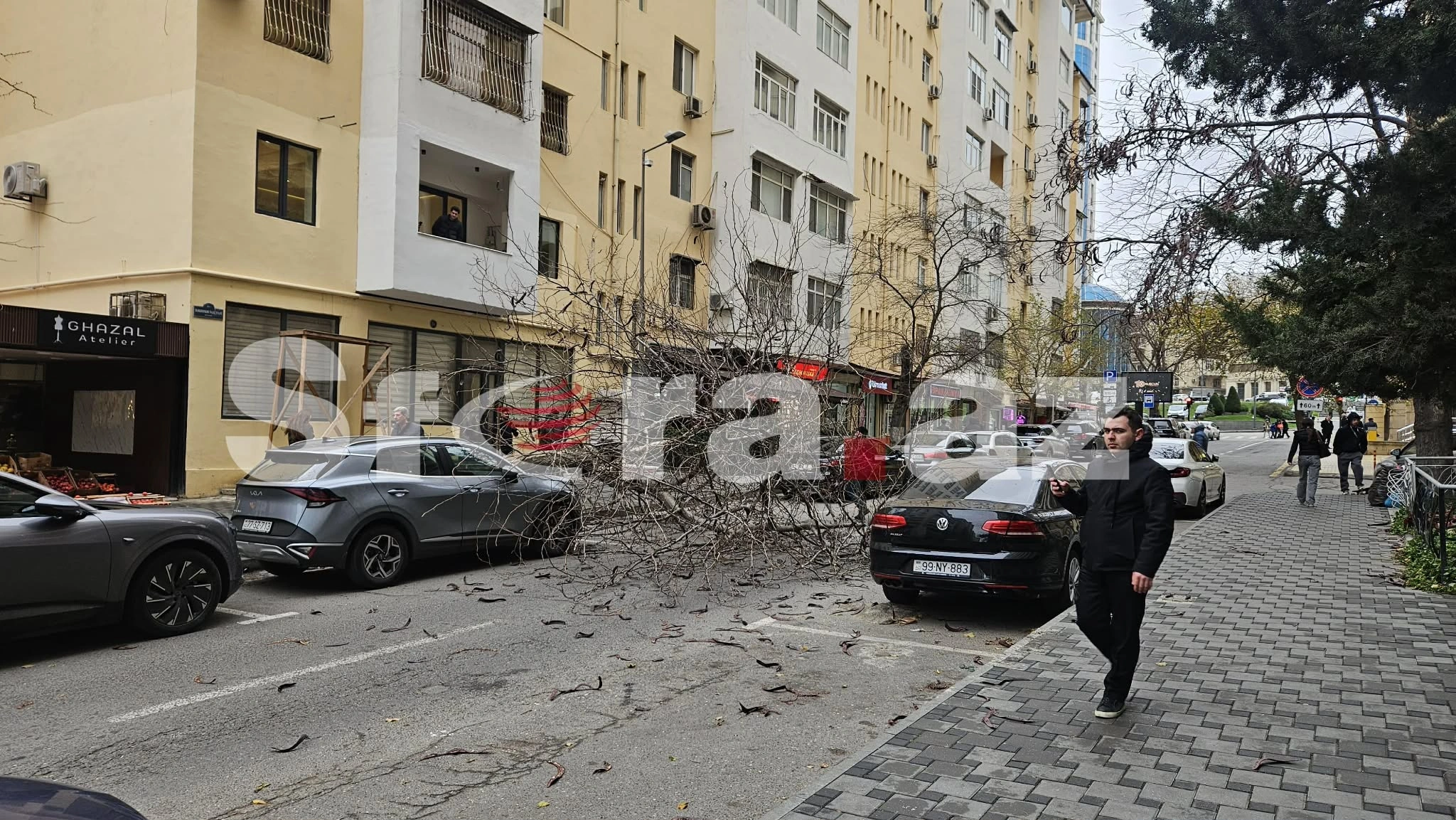 Bakıda ağac avtomobillərin üzərinə aşdı - FOTO