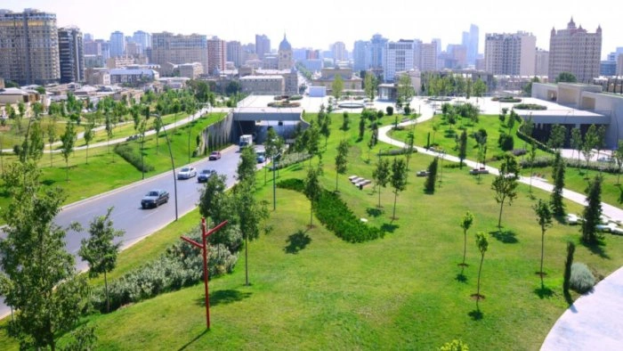 Hava ilə bağlı vacib ptoqnoz