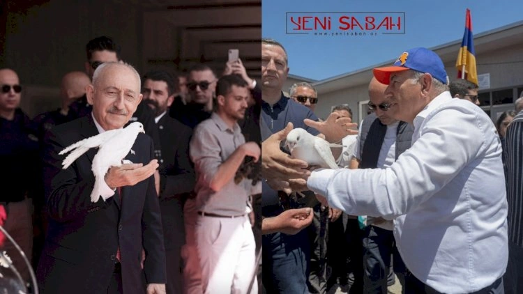 Daha göyərçinlər də siyasətçilərə inanmır -   VİDEO
