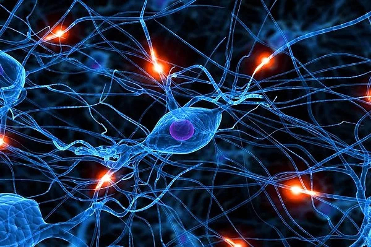 Çox burun qurdalamaqla Alzheimer xəstəliyi arasında əlaqə aşkar edilib