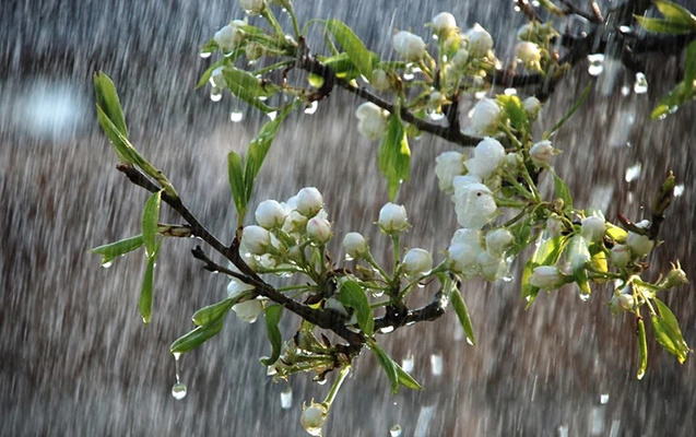 Hava ilə bağlı-Xəbərdarlıq
