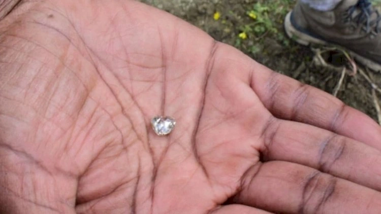 Bu parkda torpağı qazanın almaz tapır - FOTOLAR