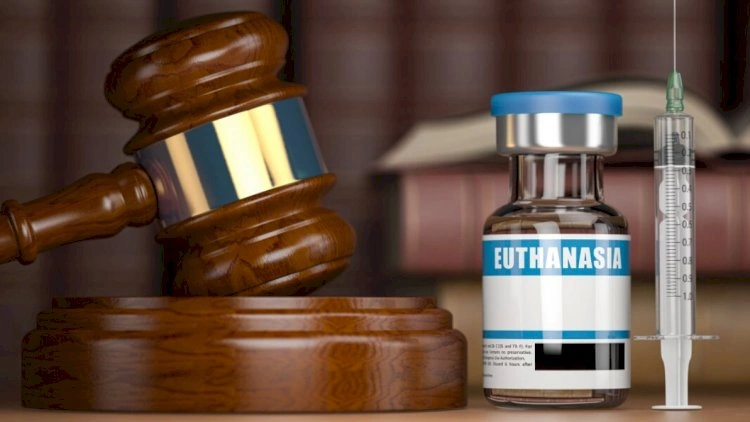 43 yaşlı aktyorun faciəli sonu - Evtanaziyanı seçdi