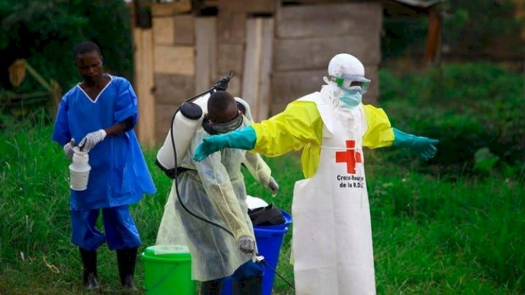Ölümcül virus sürətlə yayılır: 20 min yoluxma riski açıqlandı