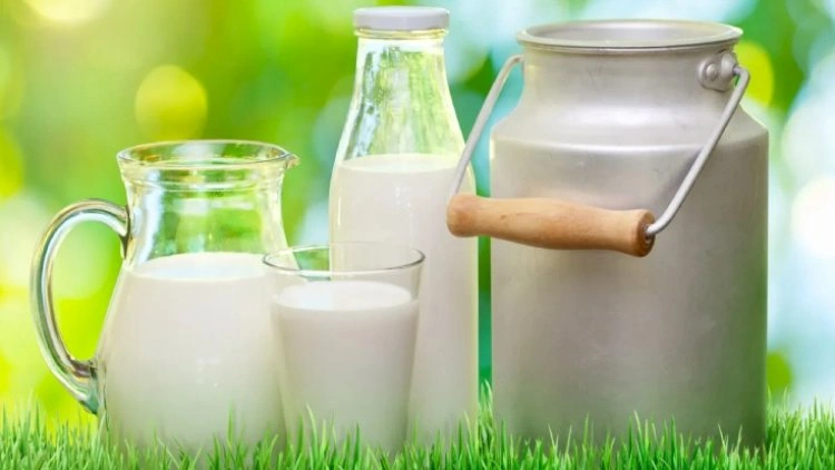 Hansı süd daha xeyirlidir?