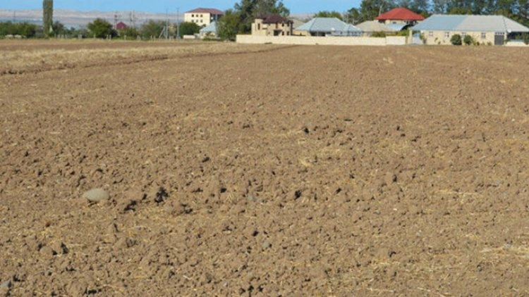 Bölgələrdə torpaq almaq sərfəlidirmi?