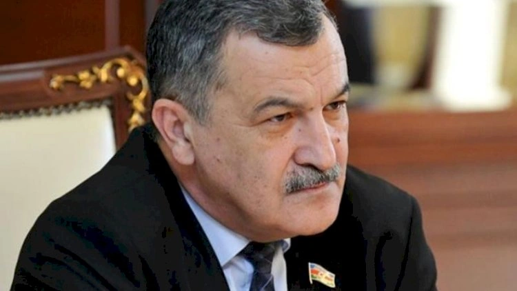 “Qadınlara qəlyan təklif edilməsi yolverilməzdir” - Aydın Mirzəzadə