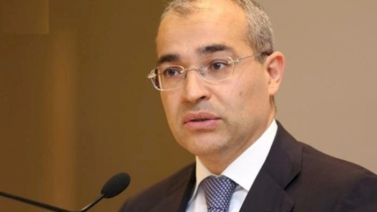 Mikayıl Cabbarov slovakiyalı iş adamlarına müraciət etdi