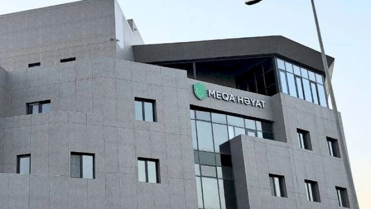 “Meqa Həyat Sığorta”nın xalis mənfəəti azalıb