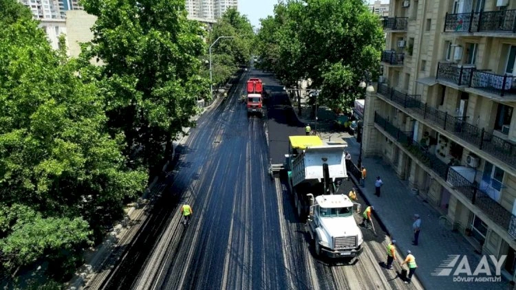 Qəzada həlak olan AAYDA əməkdaşının - Fotosu