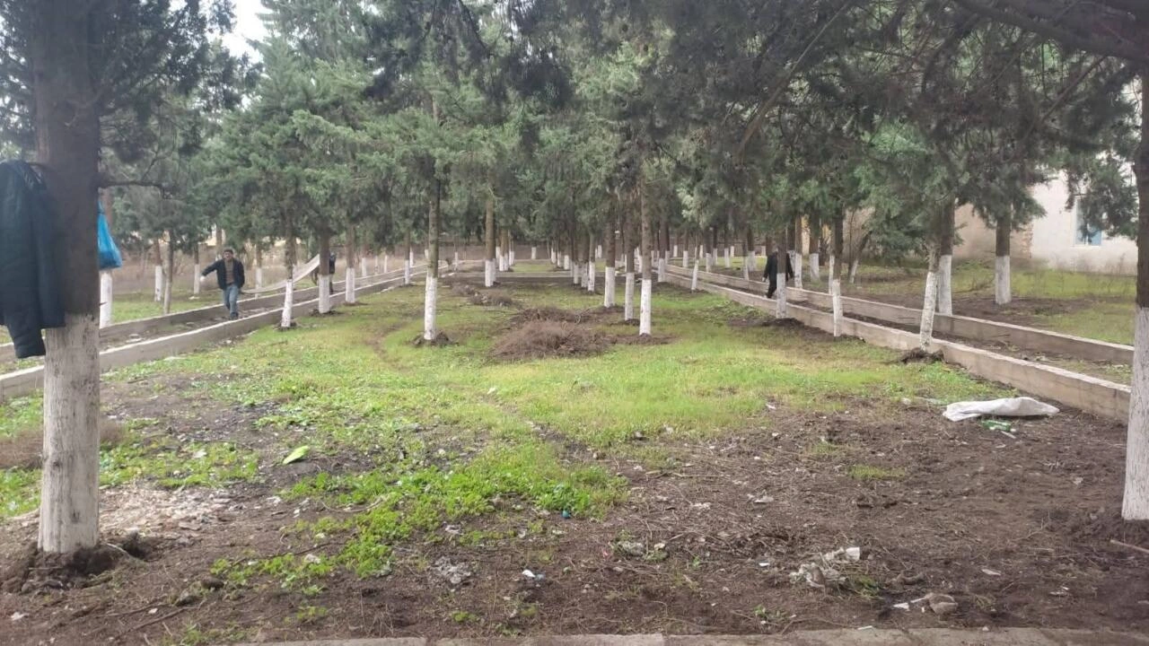 Azərbaycanda yeni park salınır - FOTO