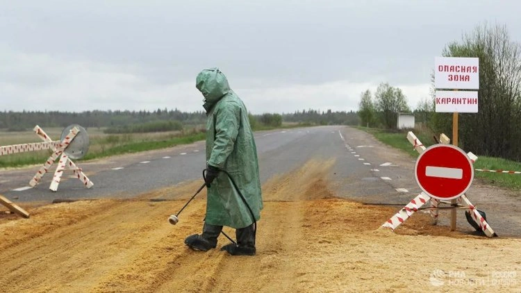 Rusiyada taun: Karantin elan olunub?