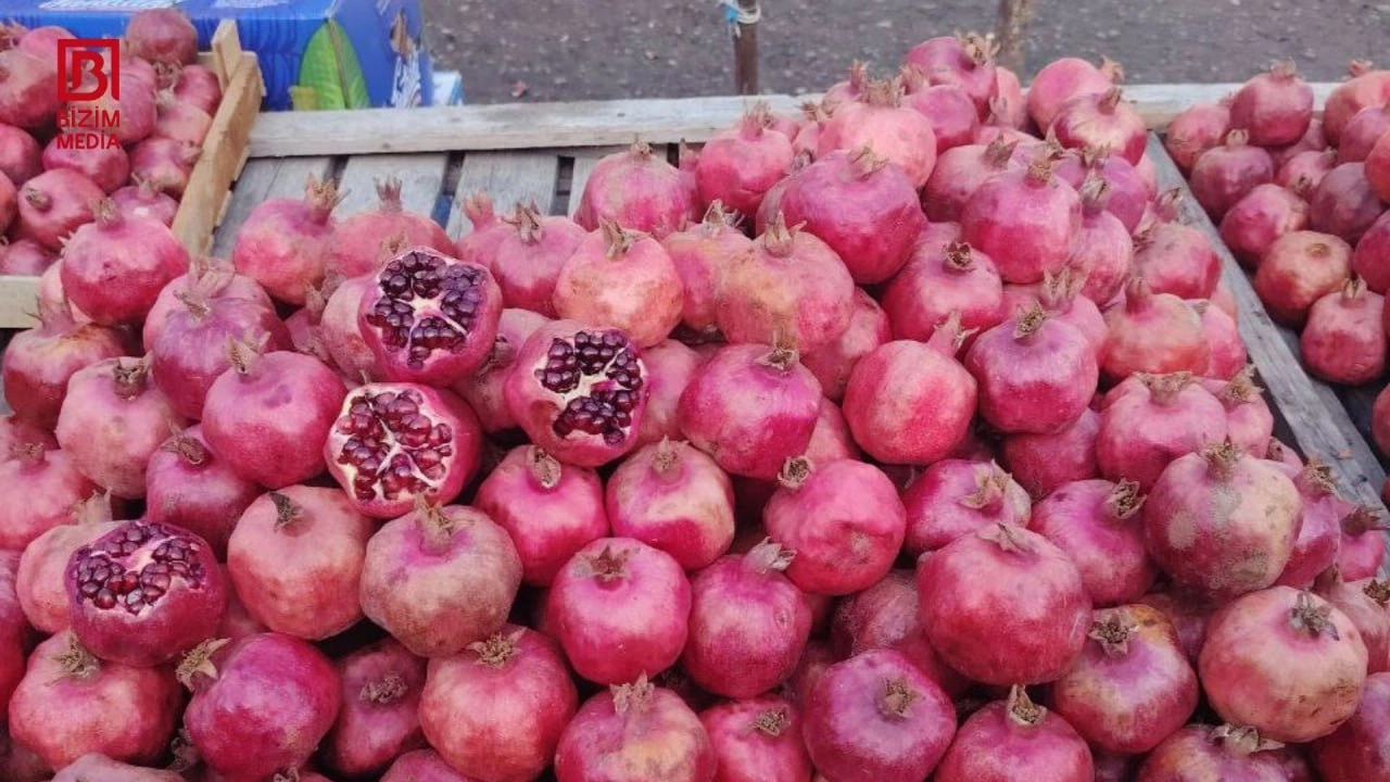Bazarlarda nar “böhranı” – Qiymətlər kəllə-çarxa QALXDI