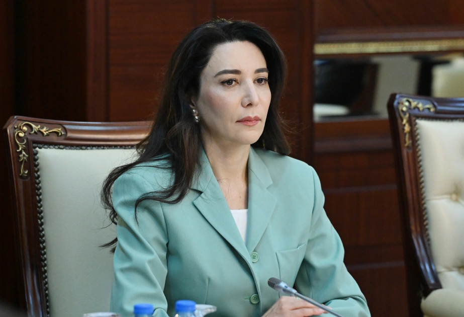 Ombudsman: Uşaq hüquqlarının müdafiəsi ilə bağlı yeni qanun layihəsi xüsusi əhəmiyyət kəsb edir