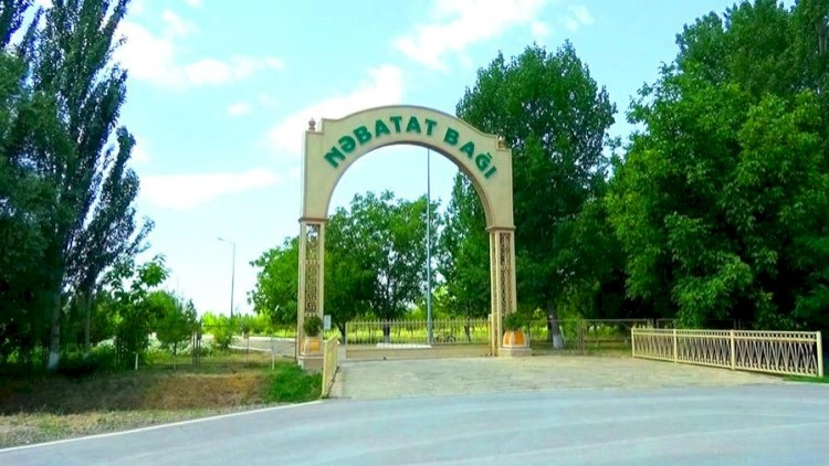 “Mərkəzi Nəbatat və Dendrologiya Bağı” MMC yaradılır