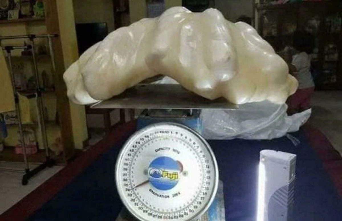 Bu hadisələrin həqiqət olduğuna inanmayacaqsınız