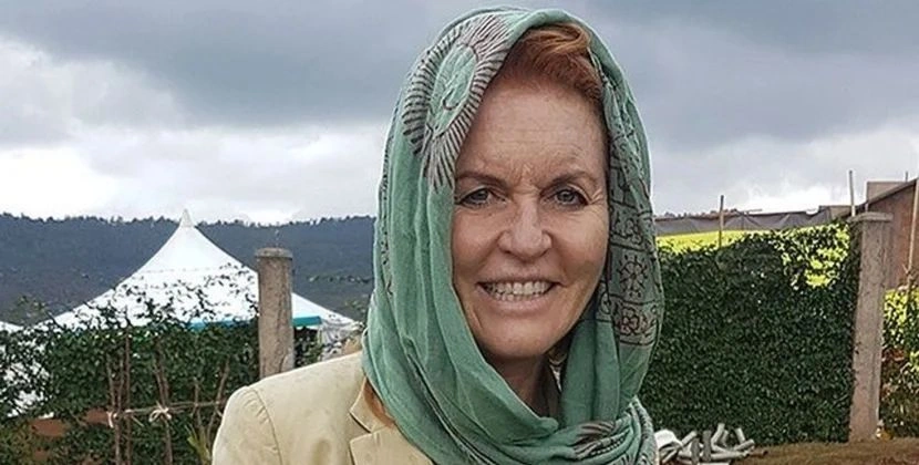 7 ay gizləndikdən sonra Alp dağlarında görüldü - FOTO
